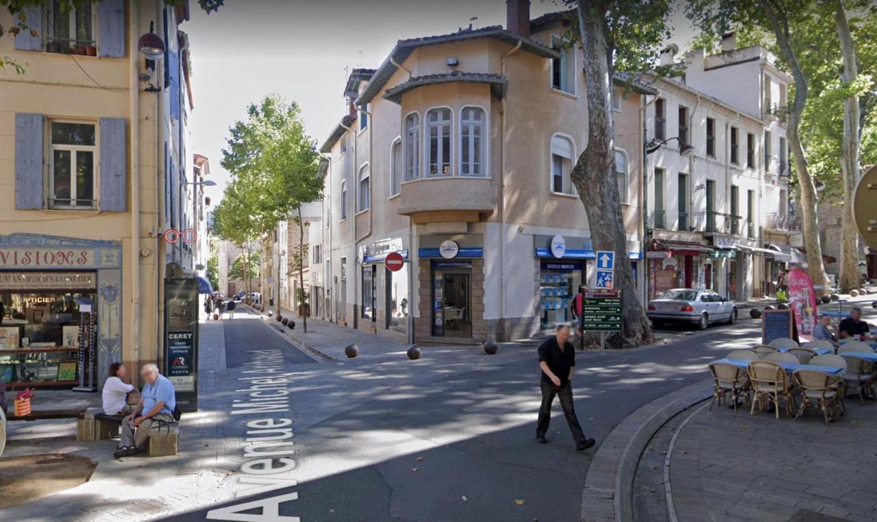 Le Refuge Ceretan, Grand Et Bel Appartement Mansarde En Plein Centre Céret Exterior foto